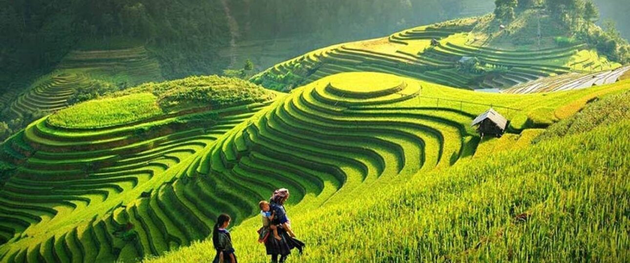 Hanoi Muslim Tours, Vietnam Halal-Friendly Travel Packages Discover Hanoi Muslim Tour 6 Days – 5 Nights, Top Halal-Friendly Tours