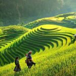 Hanoi Muslim Tours, Vietnam Halal-Friendly Travel Packages Lao Chai & Ta Van Villages: Sapa’s Classic Rice Terrace Trek (2026)