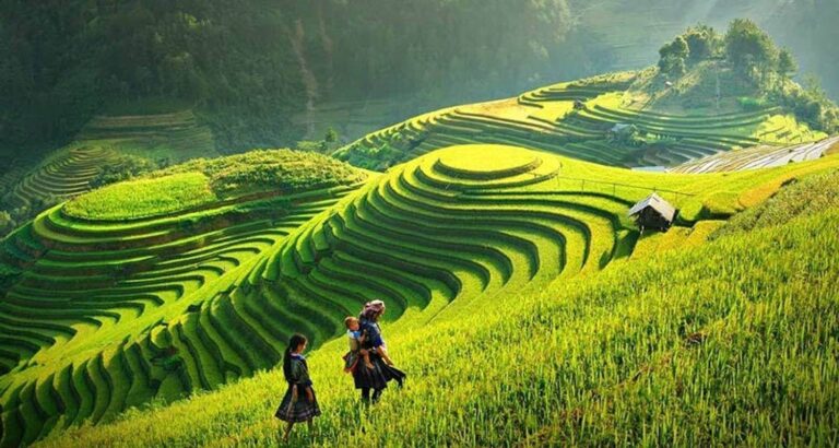 Hanoi Muslim Tours, Vietnam Halal-Friendly Travel Packages Lao Chai & Ta Van Villages: Sapa’s Classic Rice Terrace Trek (2026)