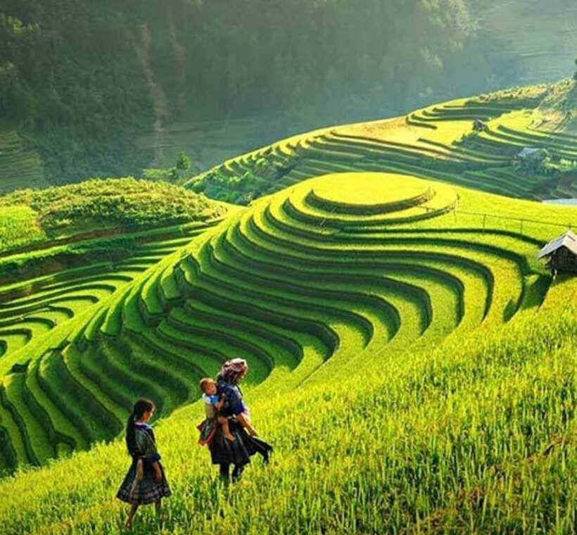 Discover Hanoi Muslim Tour 6 Days – 5 Nights, Top Halal-Friendly Tours