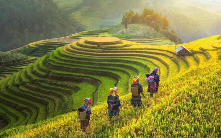 Hanoi Muslim Tour 7 Days