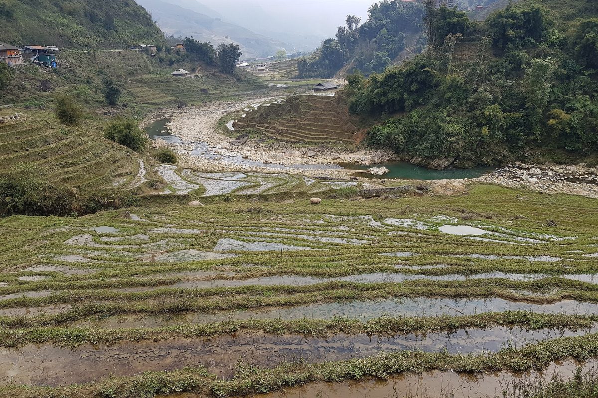 Rice terraces in the Muong Hoa valley near Ta Van village, Sapa