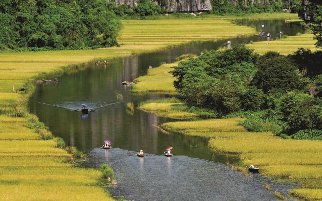 Trang An Boat Trip through Rice Fields